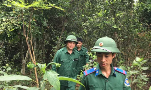 Tuyên Quang: Lâm Bình nỗ lực làm giàu vốn rừng