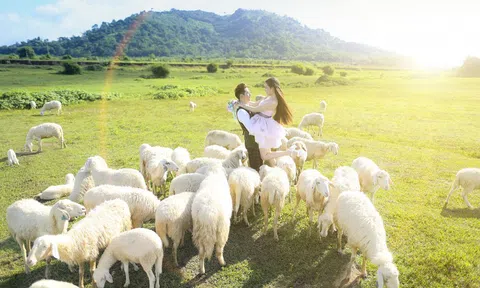 Yên Thành (Nghệ An) thu hút giới trẻ với nhiều điểm vui chơi kỳ thú