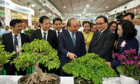 Những thành tựu nổi bật trong xây dựng Nông thôn mới thay đổi diện mạo nông thôn ngoại thành Hà Nội