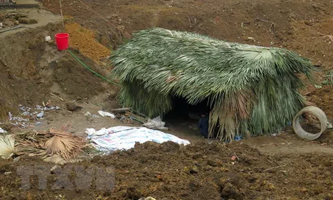 TTXVN lên tiếng bảo vệ phóng viên ở Tuyên Quang bị truy sát