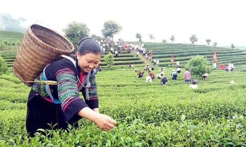 Lai Châu: Xây dựng văn hóa doanh nghiệp, doanh nhân