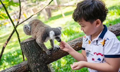 Vinpearl Safari đăng cai tổ chức hội nghị bảo tồn và phúc trạng động vật lớn nhất Đông Nam Á