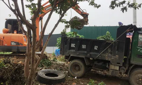Vĩnh Phúc: Vĩnh Tường xử lý vi phạm Luật Đất đai ở thị trấn Thổ Tang