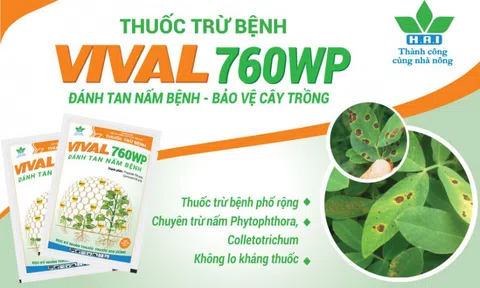VIVAL 760WP – thuốc trừ nấm bệnh thế hệ mới của Nông dược HAI