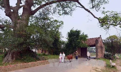 Hà Nội: Giải quyết vi phạm trật tự xây dựng để bảo tồn làng cổ Đường Lâm