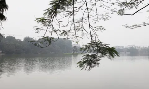 Bắc Bộ sáng và đêm trời rét, Trung Bộ có mưa to, Tây Nguyên - Nam Bộ ngày nắng, chiều tối mưa dông vài nơi