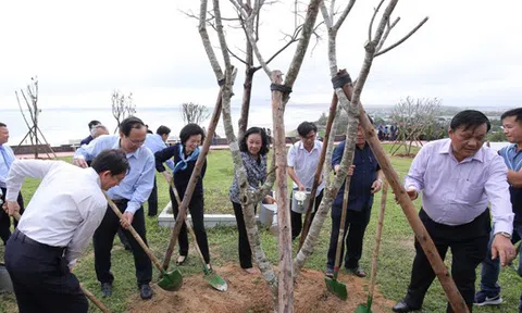 Vinamilk chung tay bảo vệ môi trường tại tỉnh Bình Định thông qua Quỹ 1 triệu cây xanh cho Việt Nam