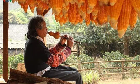 Người nhạc sỹ say mê với giai điệu núi rừng