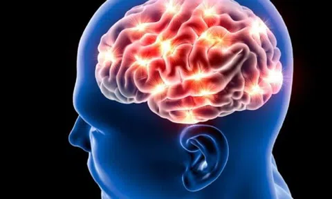 Phát hiện mối liên hệ giữa trí thông minh mềm và kích cỡ não