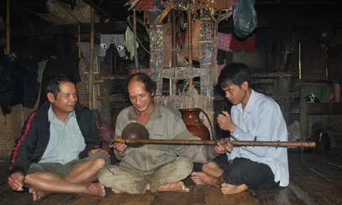 Cây lồ ô trong đời sống của người Xê Đăng