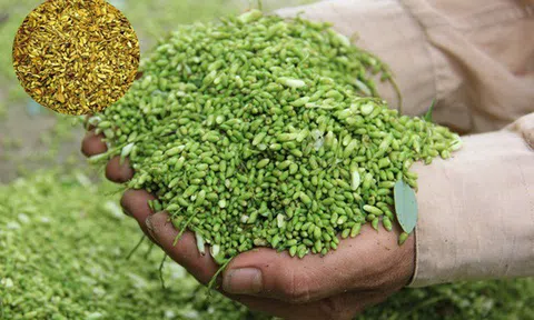 Giải pháp mới hỗ trợ cho người cao huyết áp