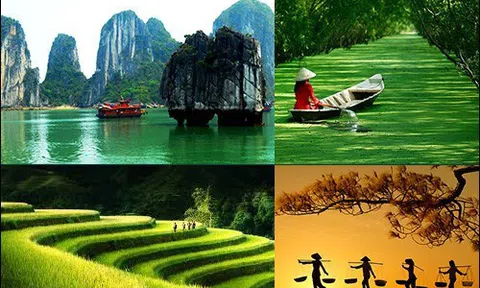 Tổ chức Cuộc thi và Triển lãm Ảnh nghệ thuật Việt Nam năm 2020