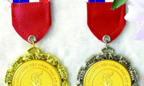 Liên hoan SVC Thủ đô: Chấm thi Cây cảnh nghệ thuật dựa trên 9 tiêu chí để trao Huy chương Vàng, Huy chương Bạc