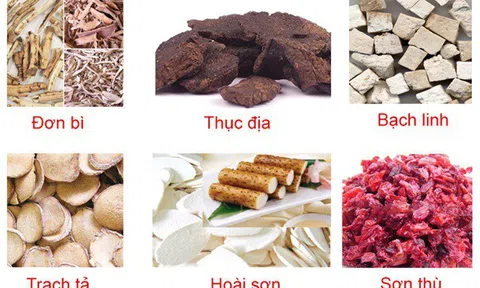 Một số giải pháp hỗ trợ một số bệnh mãn tính cho người cao tuổi như cao huyết áp, tiểu đường