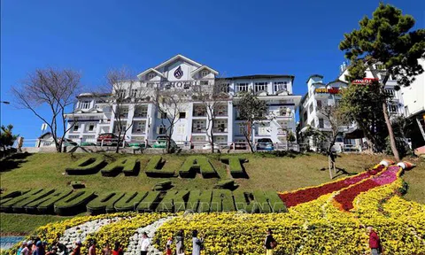 Đà Lạt khai mạc Không gian hoa hồ Xuân Hương
