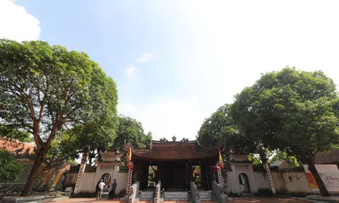 Đến thăm Đền Đô