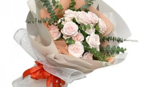 Giới thiệu các loài hoa màu hồng thích hợp để tặng bạn gái