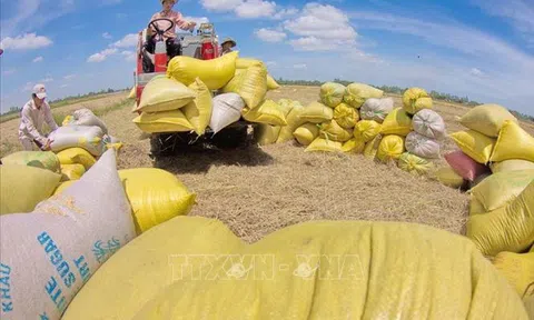 10 sự kiện nổi bật của Việt Nam năm 2019 do TTXVN bình chọn