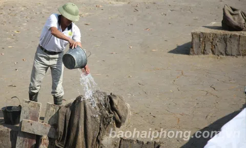 Hải Phòng: Đông đảo người dân tham quan di tích bãi cọc Cao Quỳ
