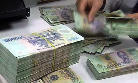 Hà Nội: Xử phạt công ty tổ chức thi 'Hoa hậu Thảo mộc' không phép
