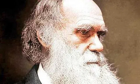 Phát hiện mới củng cố cho học thuyết tiến hóa của Darwin