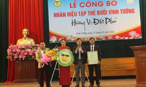 Vĩnh Phúc: Công bố nhãn hiệu tập thể sản phẩm Bưởi Vĩnh Tường – Hương vị đất phủ