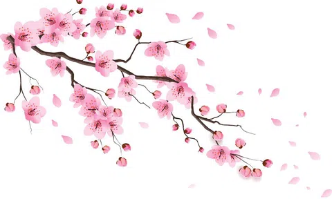 Tình người lúc xuân sang