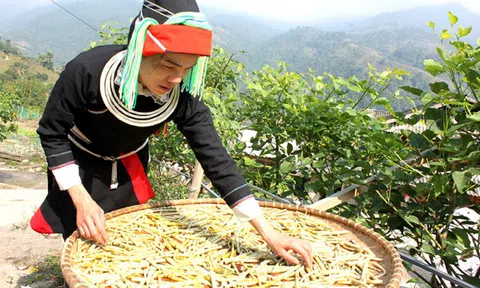 Hà Giang: Nhân lên kho tàng di sản văn hóa độc đáo của dân tộc Dao