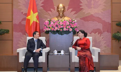 Chủ tịch Quốc hội tiếp Đại sứ Lào