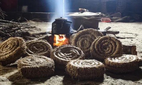 Ngồi ghế rơm, uống trà