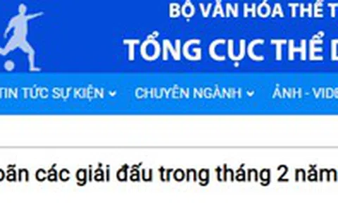 Tạm hoãn các giải thi đấu thể thao tại Việt Nam do nCoV
