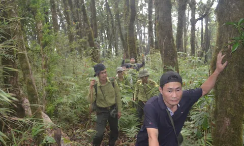 Hà Giang: Bảo vệ và phát triển bền vững rừng đặc dụng Tây Côn Lĩnh