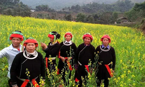Hà Giang: Điệu hát giao duyên của người Dao trên đỉnh Tây Côn Lĩnh