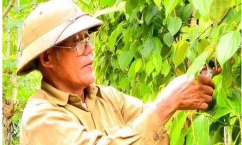 Nét đẹp đời thường: Làm giàu trên quê hương mới