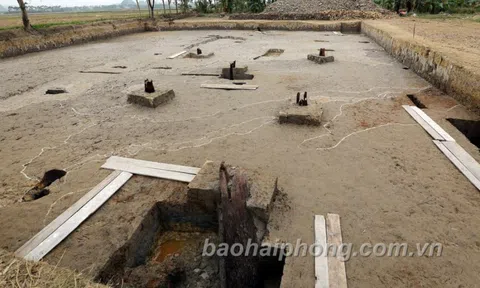 Hải Phòng: Đề nghị cấp phép khai quật khẩn cấp 13 cọc gỗ mới phát hiện tại huyện Thủy Nguyên