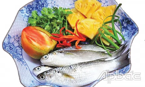 Tiền Giang: Mùa cá đối