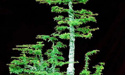 Ngỡ ngàng trước vẻ đẹp của tác phẩm Cần Thăng Lộc Đại Phát
