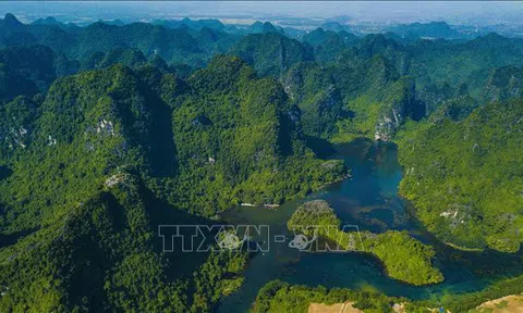 Ninh Bình: Những phát hiện mới về cấu trúc quần xã côn trùng ở Tràng An