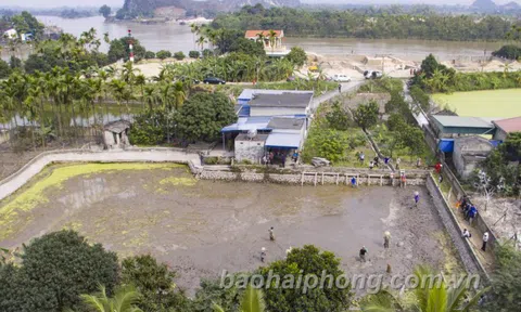 Hải Phòng: Khảo sát, nghiên cứu bãi cọc Đầm Thượng, xã Lại Xuân