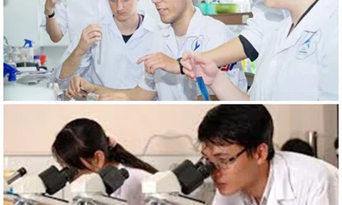 Thu hút chuyên gia nước ngoài hoạt động KHCN tại Việt Nam