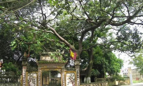 Làng Diềm xứ Kinh Bắc: Người quan họ không được lấy nhau khi đã “kết chạ"