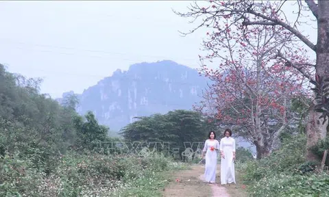 Thanh Hoá: Thiếu nữ duyên dáng dưới khung trời rực màu hoa gạo tháng 3