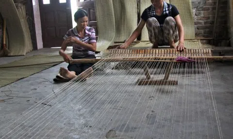 Hải Dương: Làng nghề dệt chiếu cói Tiên Kiều