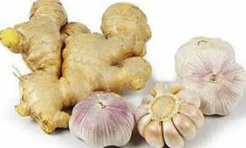 Gia vị thực phẩm "khắc cô vi"
