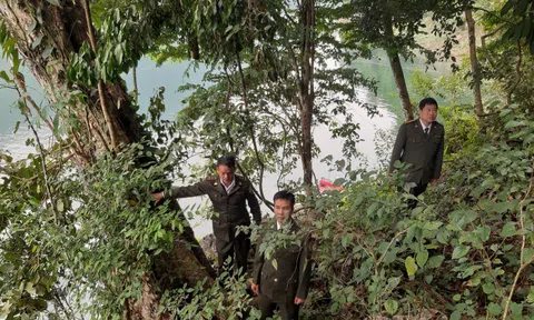Tuyên Quang: Lâm Bình quản lý, bảo vệ rừng