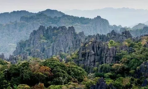 Hỗ trợ Lào hoàn thiện hồ sơ, trình UNESCO công nhận Vườn Quốc gia Hin-nam-no