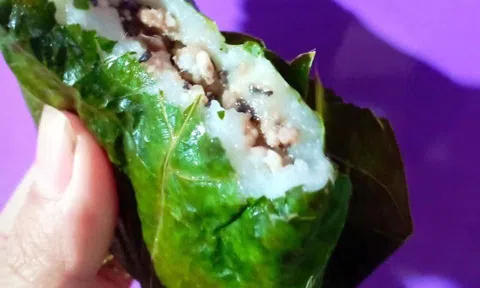 Dẻo thơm bánh nếp nhân trứng kiến của người Tày