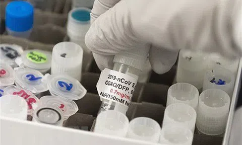Mỹ thử nghiệm thành công vaccine ngừa SARS-CoV-2 trên chuột