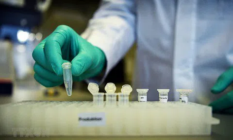 Australia thử nghiệm vaccine COVID-19 giai đoạn 1