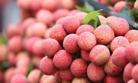 Một số đặc sản của huyện Lục Ngạn- Bắc Giang